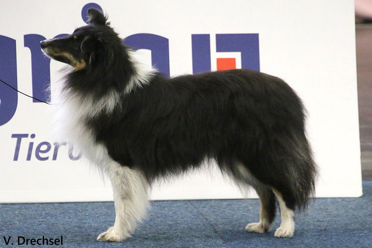 2022.10.14.HSA Dortmund.JKH.Lady Lafayette von der alten Birke