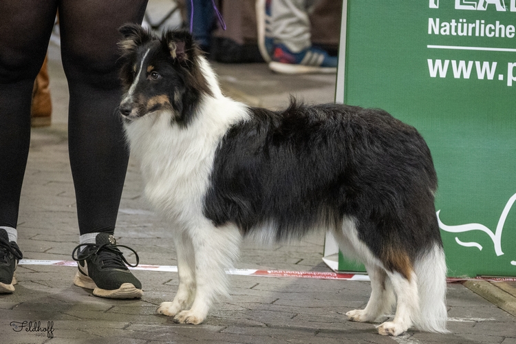 a JueKH Bjella von den Wuemmepfoetchen DSC 5604 500