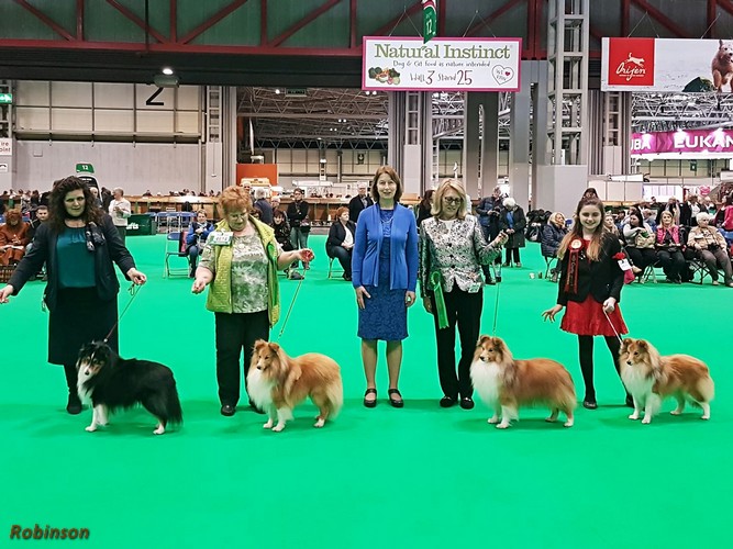 Crufts Rden Lana R 500