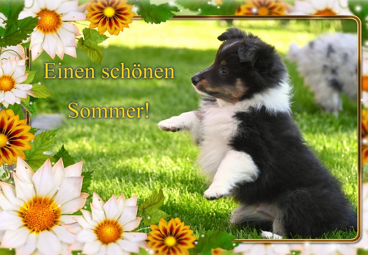 Frühling