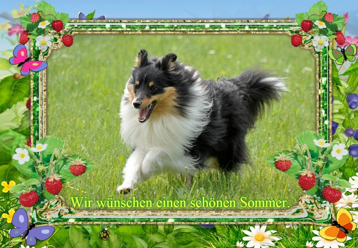 Sommer
