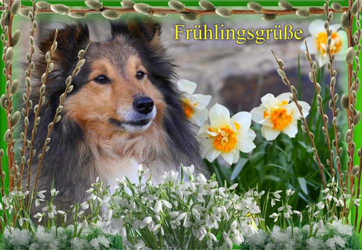 Frühling