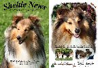 Sheltie News Nr. 68 - Dezember 2010