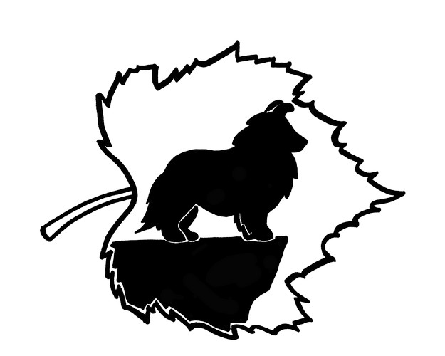 steuerwald logo