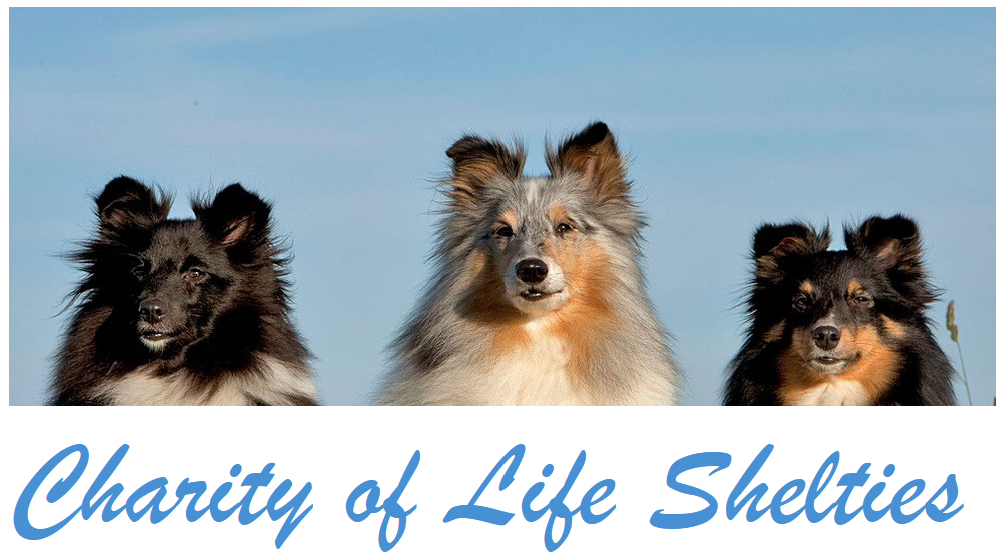 Logo Reeber Charity of Life